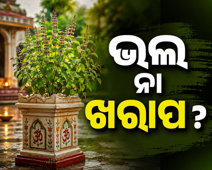 Tulsi Tree